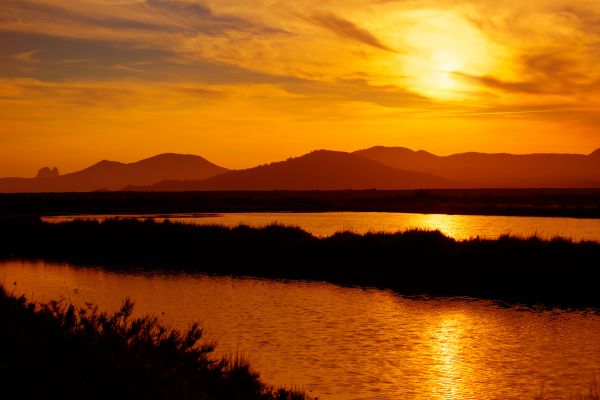 Ses Salines in Ibiza.